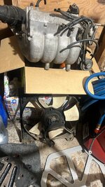 IMG_8695.jpeg