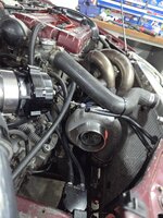 20251005_165429.jpg
