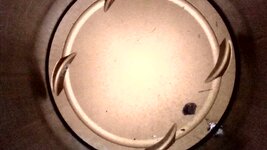 IMG_5317.jpeg
