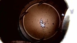 IMG_5319.jpeg