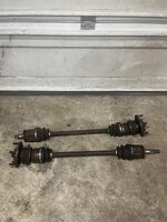 IMG_3297.jpeg