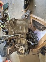IMG_4002.jpeg