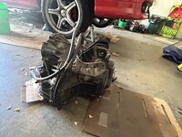 IMG_4003.jpeg