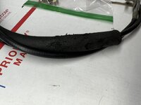 IMG_8743.jpeg