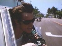 Ace ventura.jpg