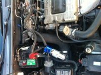 BOV PAINT.JPG