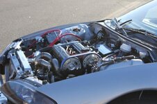 IMG_0125 [800x600].jpg