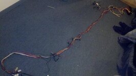 Chassis-harness-rdy.jpg