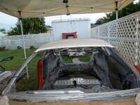 SAM_0011 (Copy).jpg