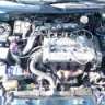 Alex95GSX