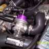 eclgst95