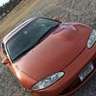 95gsxfoxxy