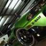 NeonGreenEclips