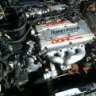 kyle95gst