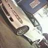 boosted bird