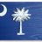 Palmettoturbo