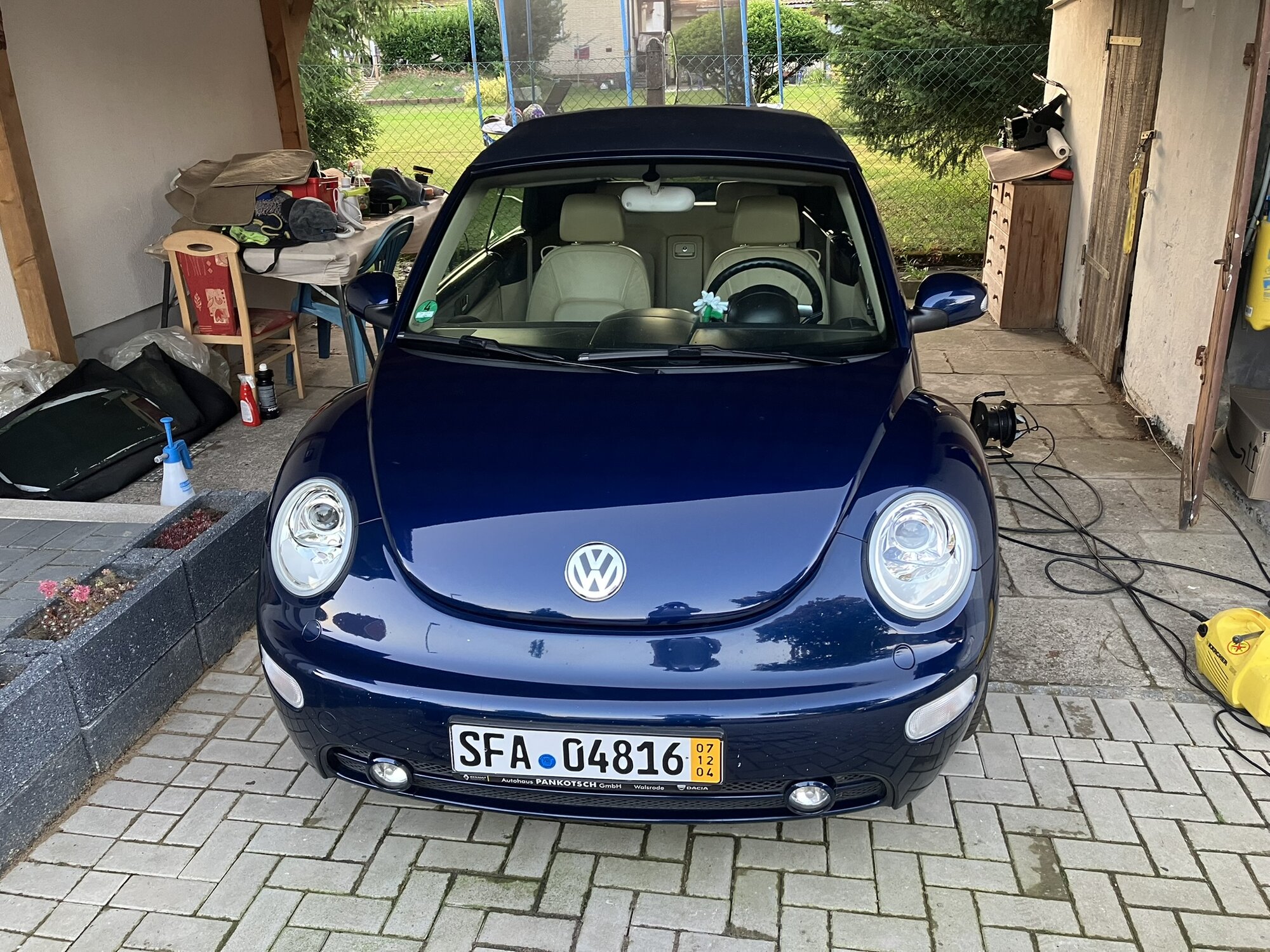 Beetle_front.JPEG
