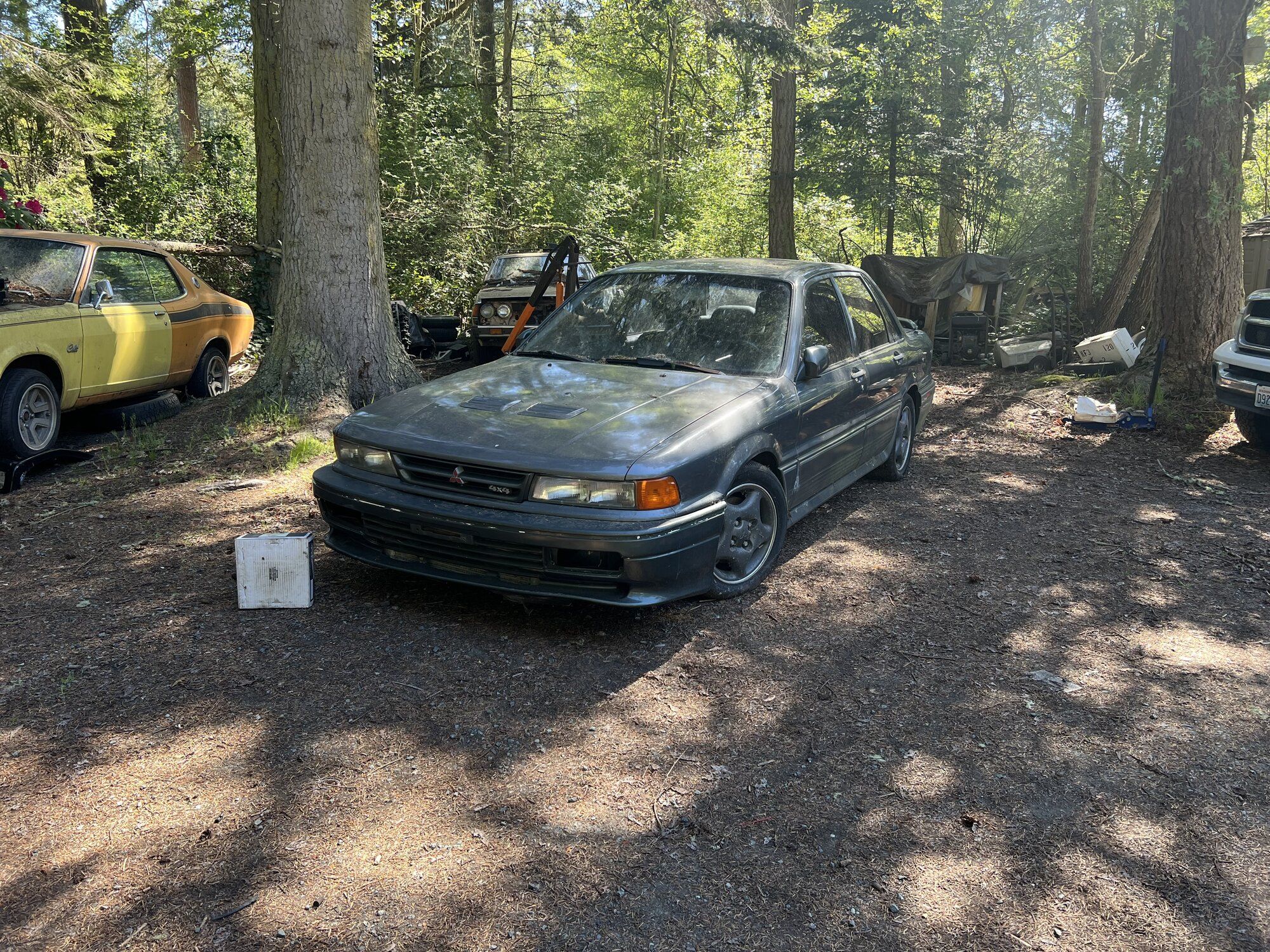 IMG_3677.jpeg