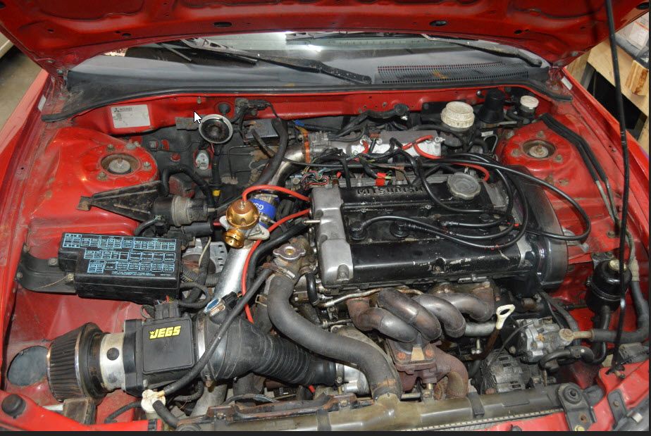 down sized pic.jpg