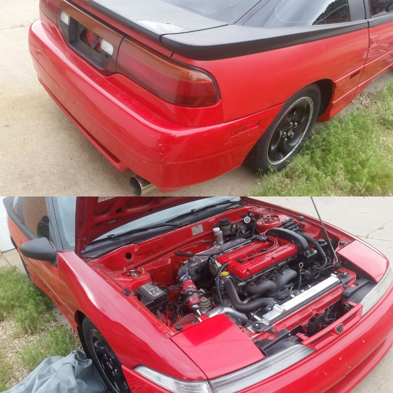 Underhood and tail.jpg