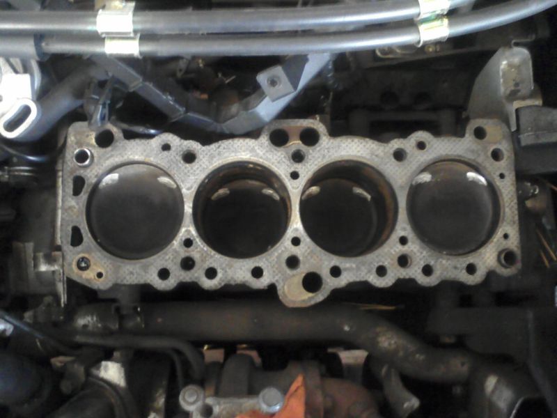 1126091613_1.jpg