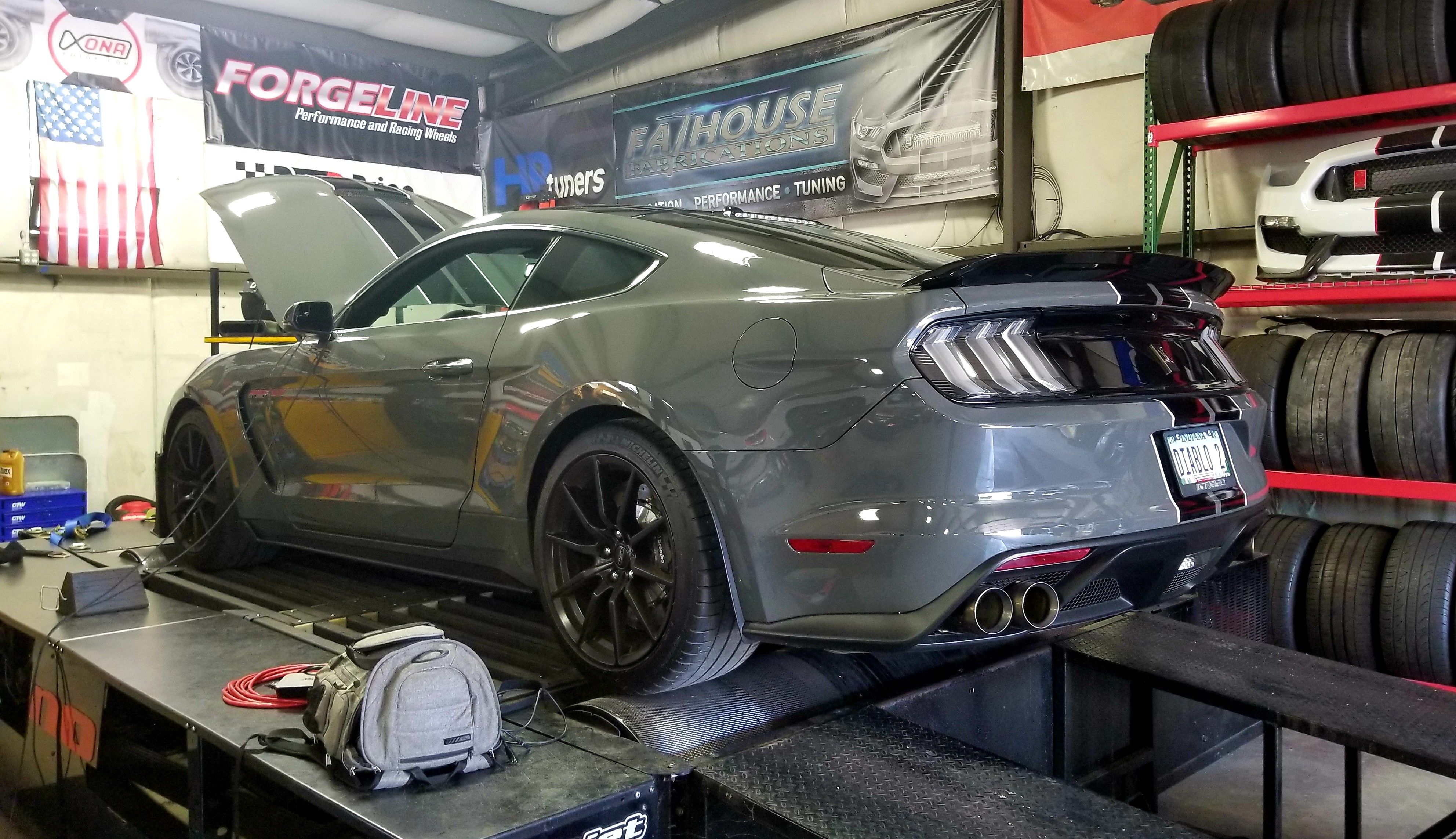 shelby dyno.jpg