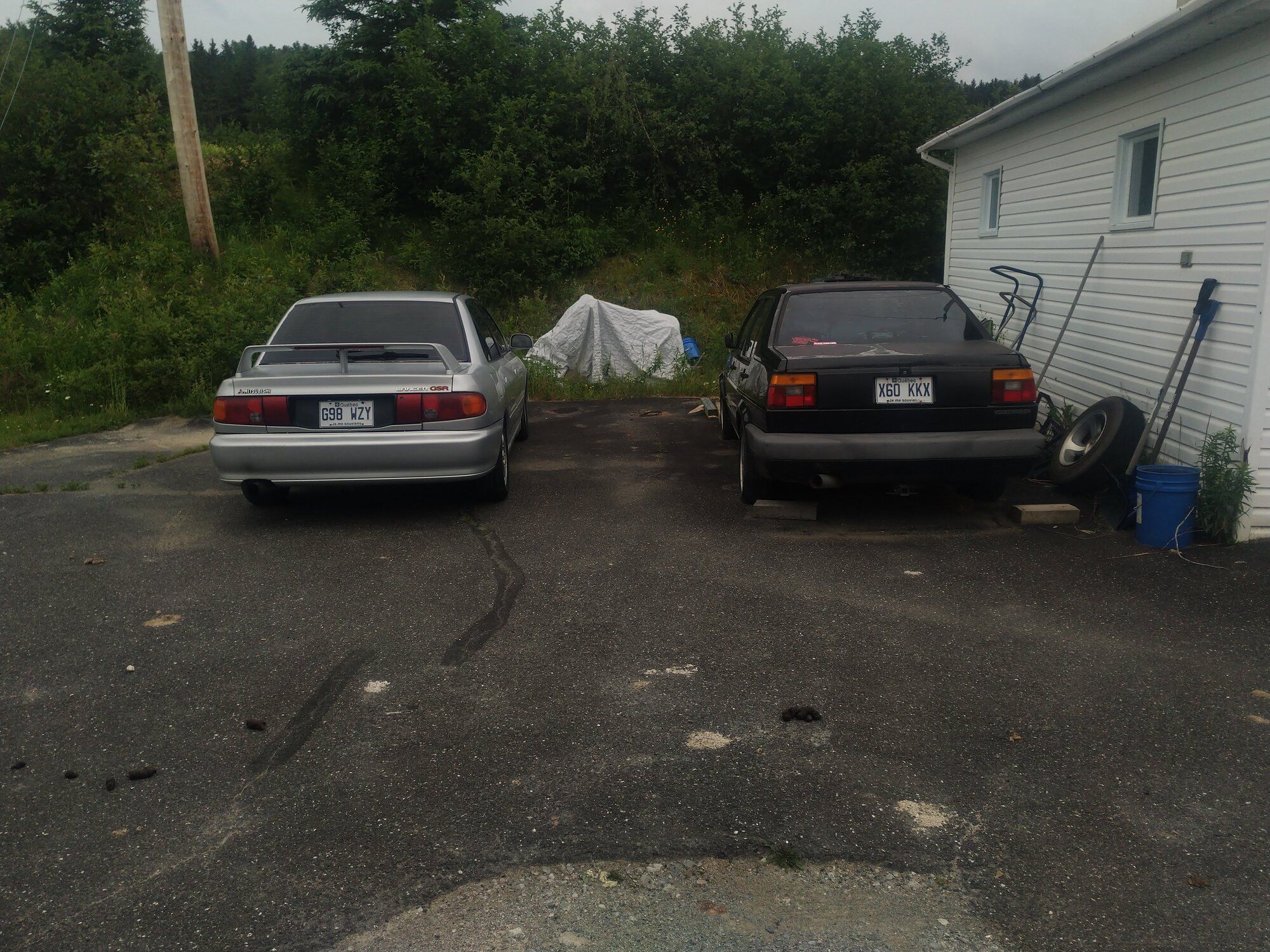 IMG_20210626_133830.jpg