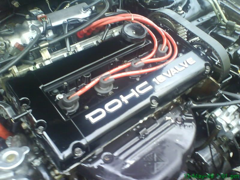 DSC01784.jpg