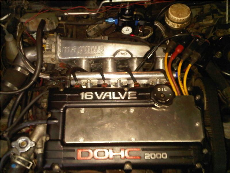 800x600_forum_1.jpg