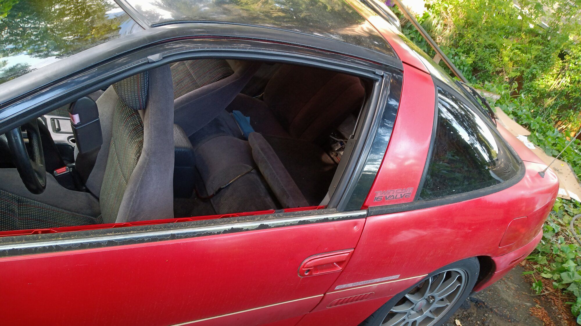 IMG_20220627_181943[1].jpg
