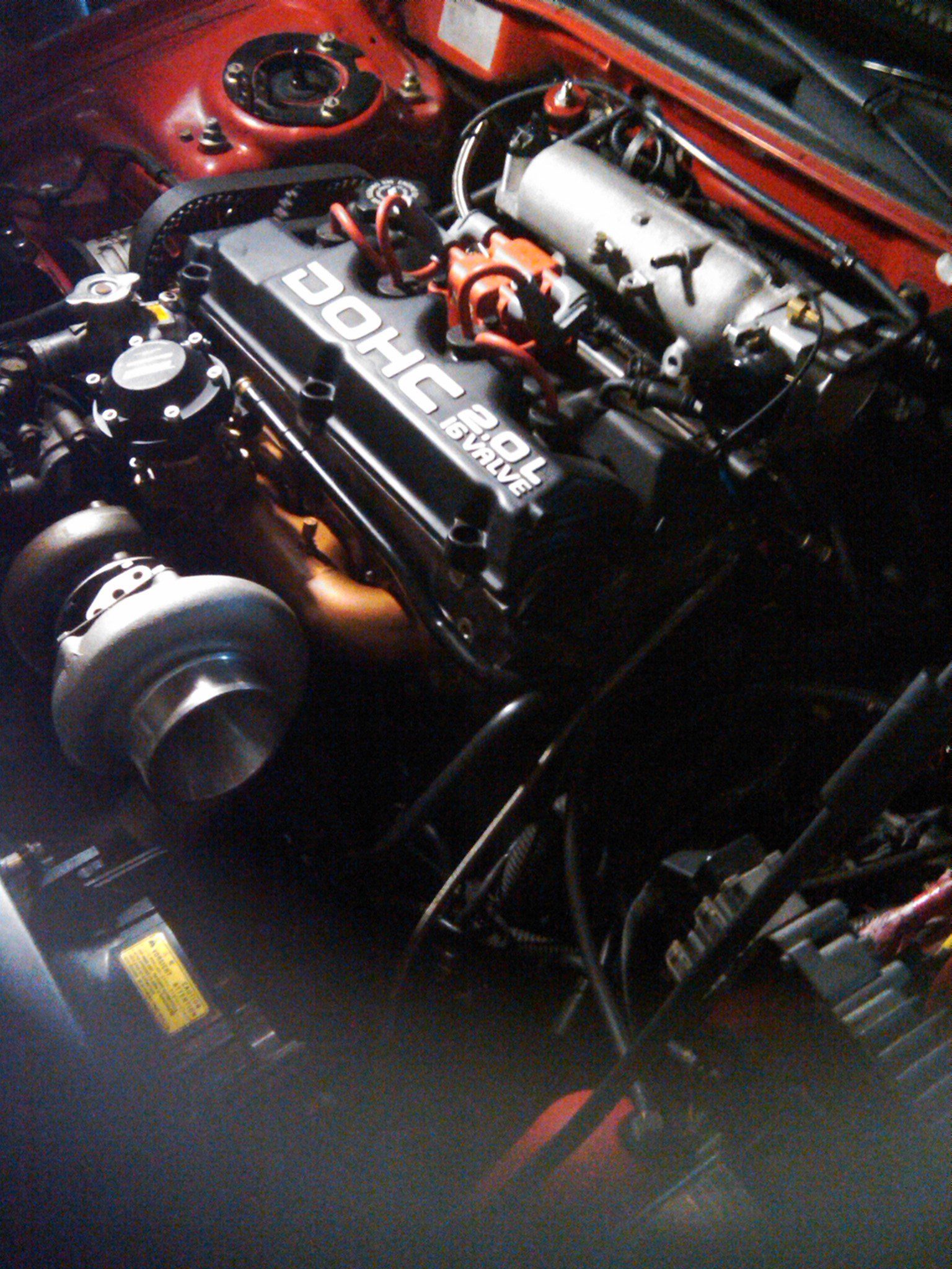 IMG00367-20100821-1433.jpg