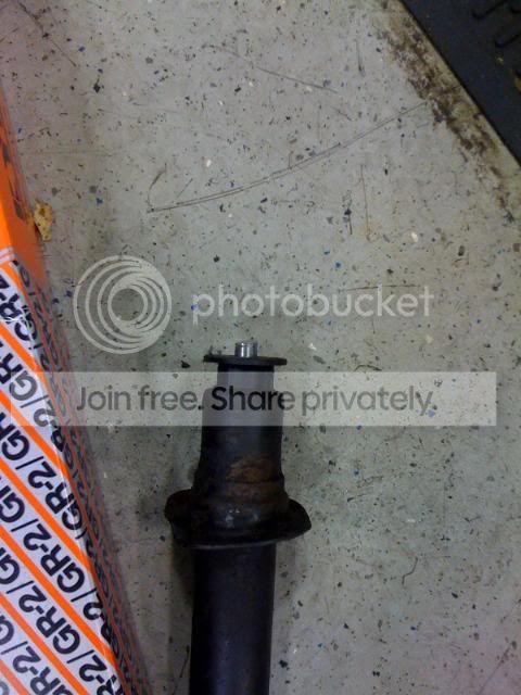 photo7.jpg