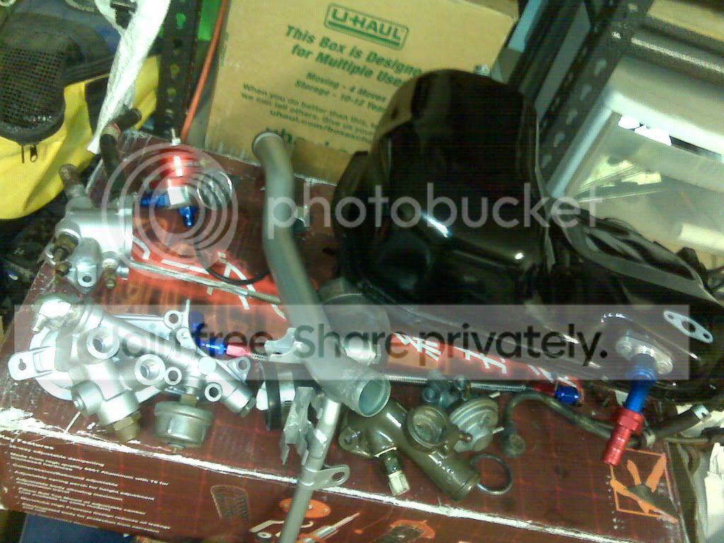 IMG00346-20100618-2224-1.jpg
