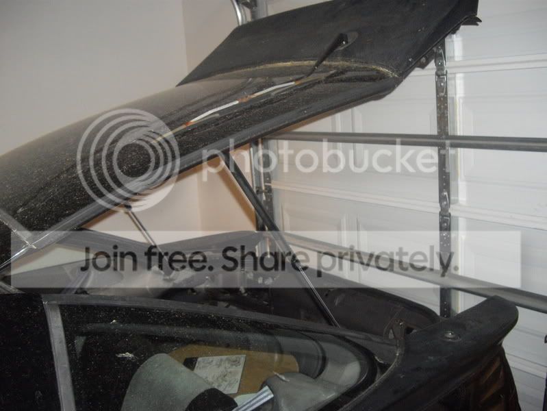 IMGP2554.jpg