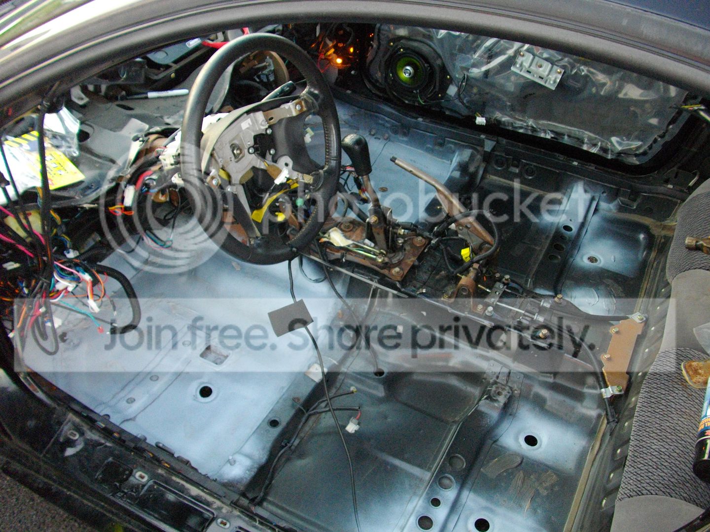 IMGP1260.jpg