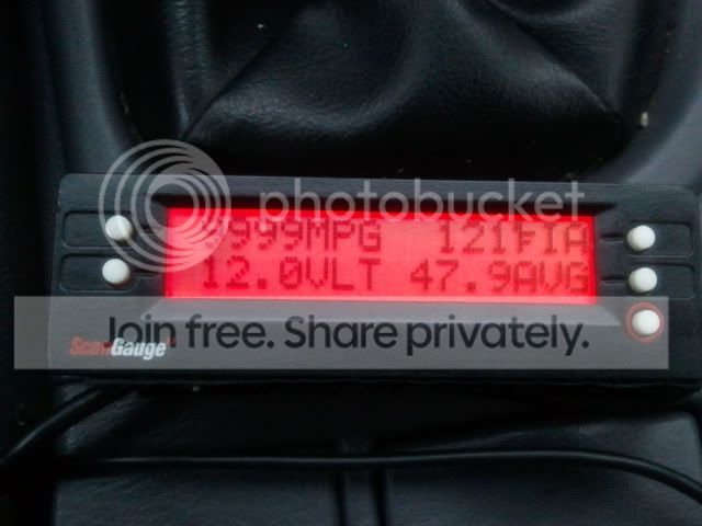 2011-09-08191531.jpg