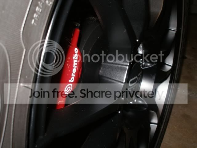 P1010460-1.jpg
