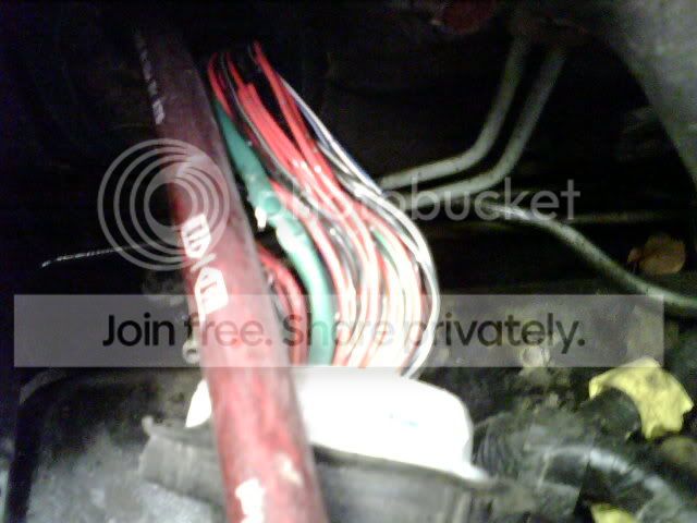 IMG00349.jpg