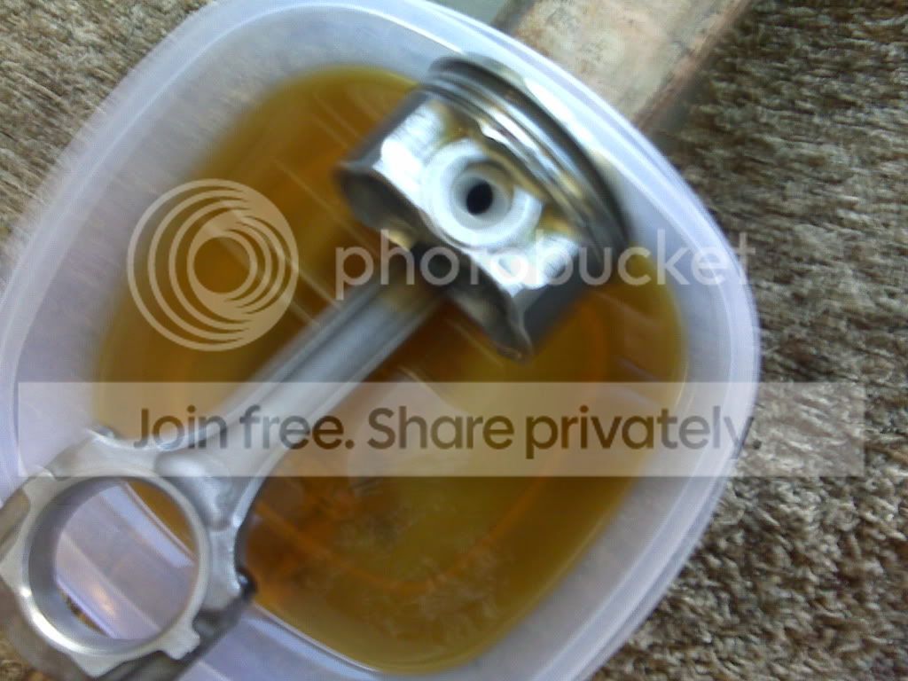 IMG00416-20100701-1355.jpg