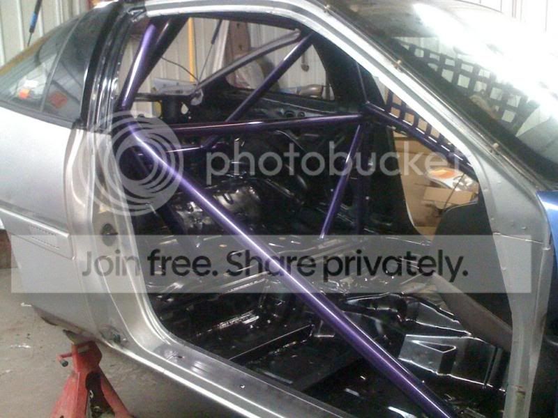 cage3-1.jpg