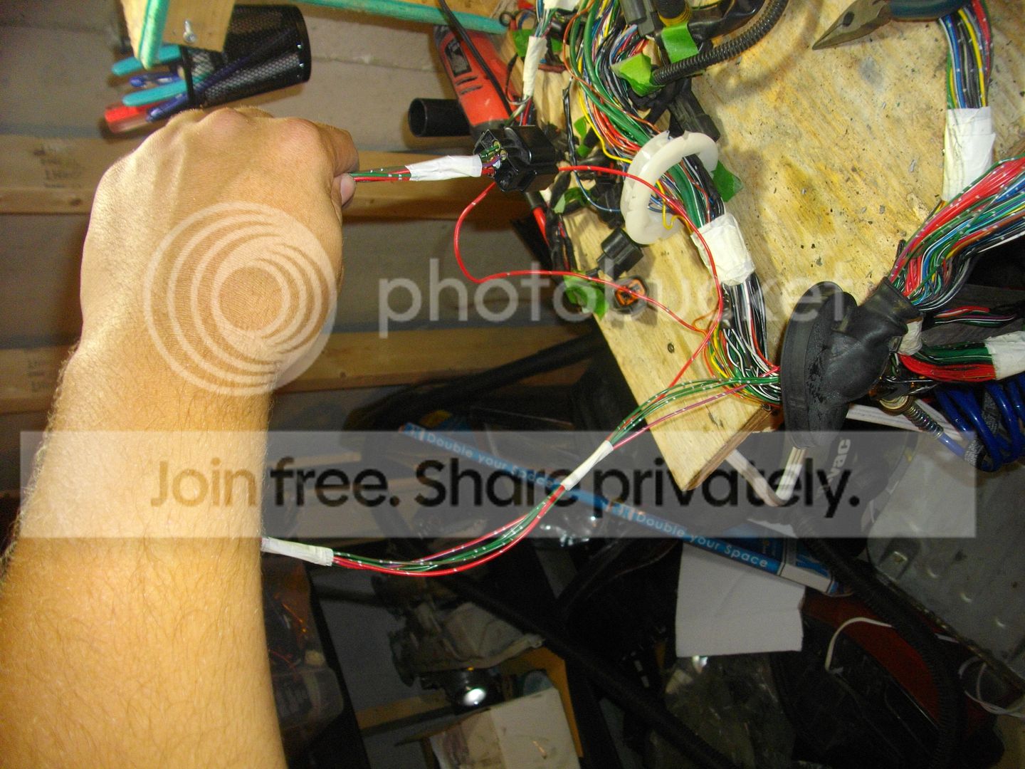 IMGP2584.jpg