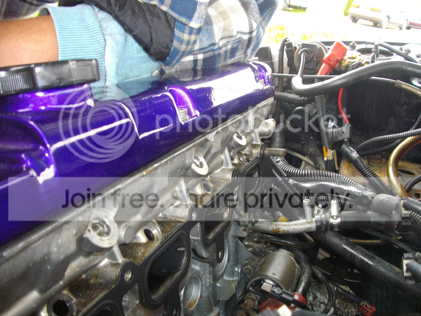 IMGP2288.jpg