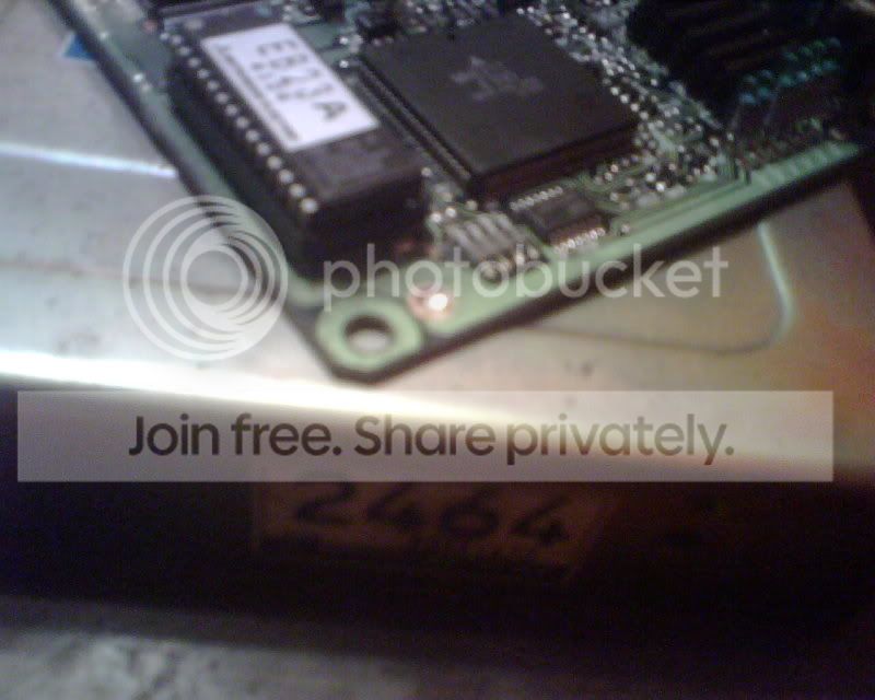 IMG00244.jpg