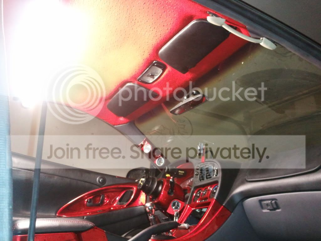 2011-05-24221347.jpg