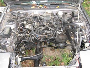 tale2awd4.jpg
