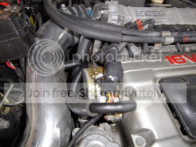 IMGP0411.jpg