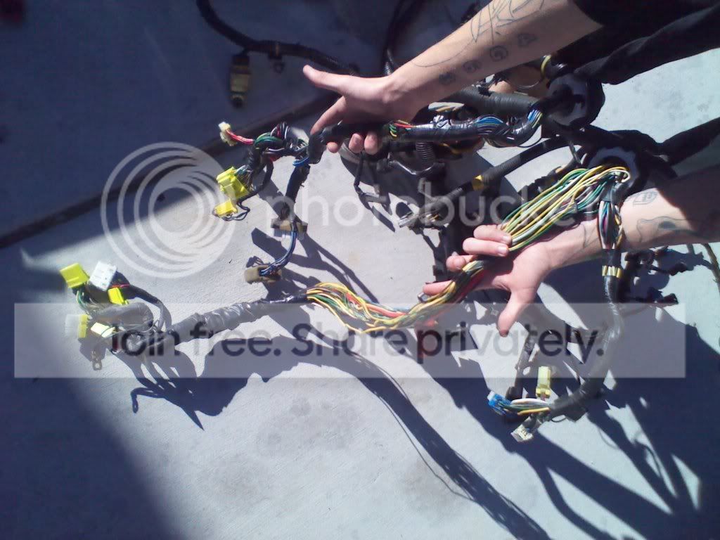 2011-01-20133822.jpg