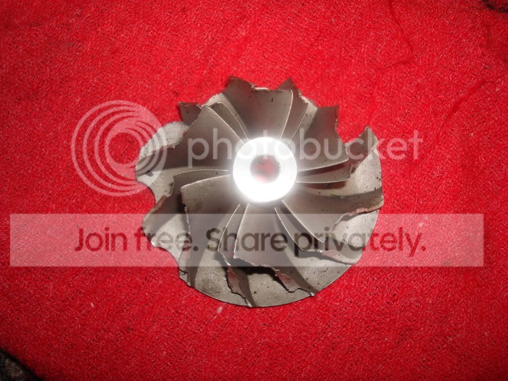 DSC00580.jpg