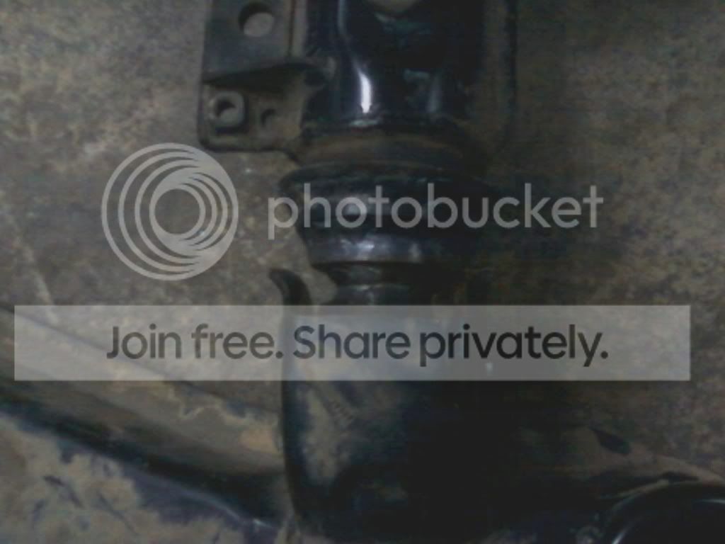 cp1_imagejpeg953.jpg