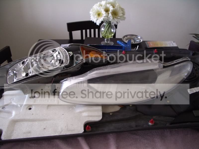 IMGP5115.jpg